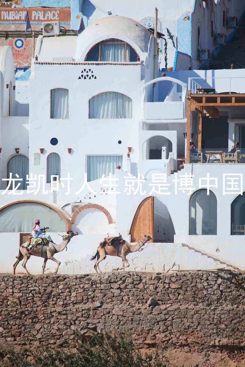 尊龙凯时人生就是博中国区